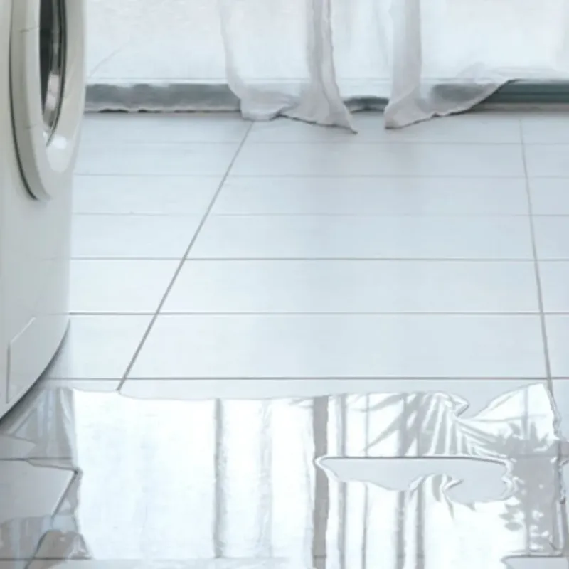 Appliance Leak Cleanup in Grafton, WV