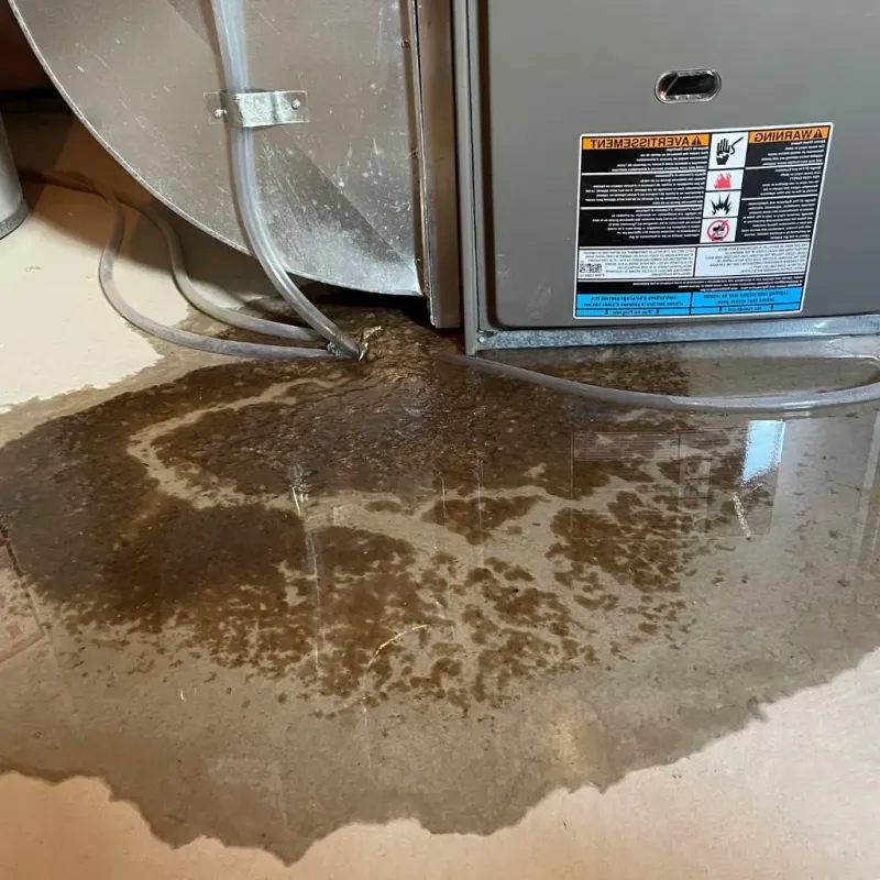 Pipe Burst and Leak Restoration in Grafton, WV