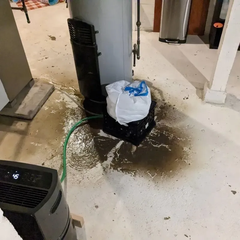Sewage Backup Cleanup Service in Grafton, WV